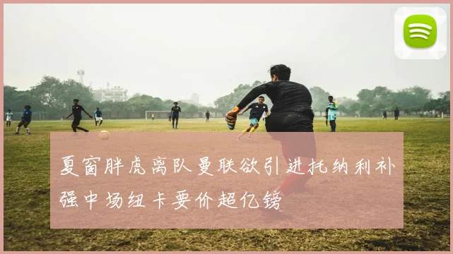 夏窗胖虎离队曼联欲引进托纳利补强中场纽卡要价超亿镑